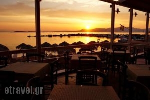 Aktaion Hotel_best prices_in_Hotel_Piraeus Islands - Trizonia_Agistri_Agistri Chora