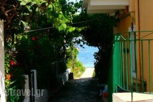 Lena Garnelli Apartments_accommodation_in_Apartment_Ionian Islands_Corfu_Kassiopi