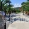 Spedion Villa_best deals_Villa_Peloponesse_Lakonia_Gythio