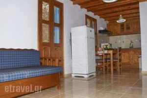 Athina Studios_best prices_in_Hotel_Dodekanessos Islands_Simi_Symi Chora