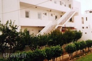 Marina Studios_holidays_in_Apartment_Dodekanessos Islands_Kos_Kardamena