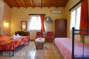 Kelari Studios_best prices_in_Apartment_Central Greece_Fokida_Delfi