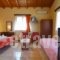 Kelari Studios_best prices_in_Apartment_Central Greece_Fokida_Delfi