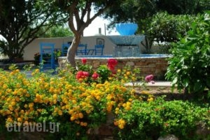 Studios Petra_best prices_in_Hotel_Cyclades Islands_Naxos_Naxos chora