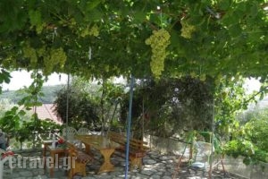 Fatiras Studios_accommodation_in_Room_Ionian Islands_Corfu_Kassiopi