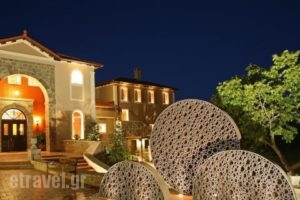 Kallisto Hotel & Suites_lowest prices_in_Hotel_Peloponesse_Arcadia_Levidi