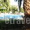 Sofia Studios_best prices_in_Hotel_Ionian Islands_Kefalonia_Kefalonia'st Areas