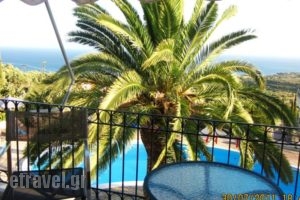 Sofia Studios_holidays_in_Hotel_Ionian Islands_Kefalonia_Kefalonia'st Areas