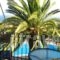 Sofia Studios_holidays_in_Hotel_Ionian Islands_Kefalonia_Kefalonia'st Areas