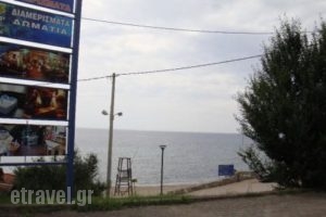 Loutra Beach_best deals_Hotel_Macedonia_Halkidiki_Loutra