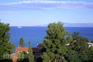 Luca_best prices_in_Apartment_Macedonia_Kavala_Palio