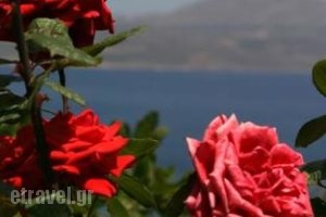 Villa Irini_travel_packages_in_Crete_Chania_Almyrida