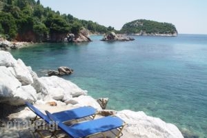 Mando Beachfront_lowest prices_in_Hotel_Sporades Islands_Skopelos_Stafylos