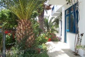 Finikas Studios_lowest prices_in_Apartment_Cyclades Islands_Kithnos_Kithnos Rest Areas