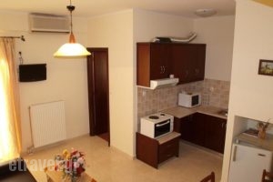 Pyrgos_best prices_in_Apartment_Crete_Chania_Kounoupidiana