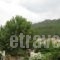 Studio Barbara_accommodation_in_Apartment_Aegean Islands_Thasos_Chrysi Ammoudia