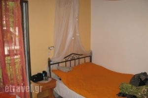 Studio Barbara_holidays_in_Apartment_Aegean Islands_Thasos_Chrysi Ammoudia