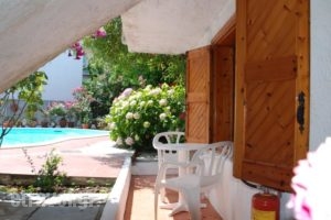 Kipos Hotel_best deals_Hotel_Aegean Islands_Thasos_Thasos Chora