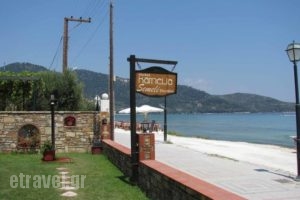 Kamelia_accommodation_in_Hotel_Aegean Islands_Thasos_Chrysi Ammoudia