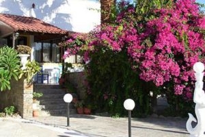 Hotel Marina Village_best prices_in_Hotel_Crete_Lasithi_Sitia