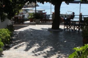 Nostos_holidays_in_Hotel_Sporades Islands_Alonnisos_Patitiri