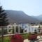 Flora's Apartments_best deals_Apartment_Cyclades Islands_Naxos_Apollonas