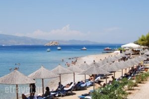 Four Seasons Hydra Luxury Suites_best prices_in_Hotel_Piraeus Islands - Trizonia_Hydra_Hydra Chora