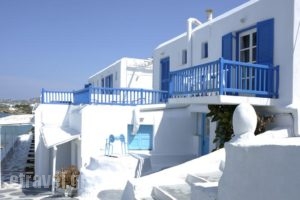 Mykonos Ach Hotel_accommodation_in_Hotel_Cyclades Islands_Mykonos_Mykonos ora