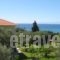 Petradaki Apartments_accommodation_in_Apartment_Macedonia_Halkidiki_Kassandreia