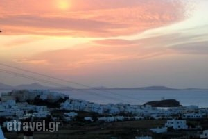 Studios Petros_accommodation_in_Hotel_Cyclades Islands_Naxos_Naxos chora