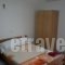 Villa Ilias_holidays_in_Villa_Macedonia_Pieria_Olympiaki Akti