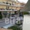 Villa Ilias_best prices_in_Villa_Macedonia_Pieria_Olympiaki Akti