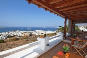 Germanos Studios_accommodation_in_Hotel_Cyclades Islands_Mykonos_Mykonos ora