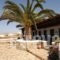 Germanos Studios_best prices_in_Hotel_Cyclades Islands_Mykonos_Mykonos ora