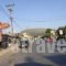 Alexander The Great_best deals_Hotel_Ionian Islands_Zakinthos_Zakinthos Rest Areas