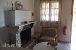 Studio Candia_best prices_in_Hotel_Peloponesse_Argolida_Kandia