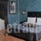 Villa Orion Hotel_best deals_Villa_Central Greece_Attica_Voula