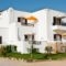 Zefyros studios_accommodation_in_Apartment_Cyclades Islands_Naxos_Naxos Chora