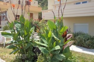 Asterina Seaside Apartments_lowest prices_in_Apartment_Crete_Chania_Fournes