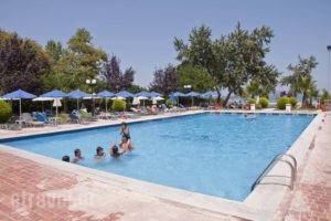 Sun Beach_lowest prices_in_Hotel_Macedonia_Pieria_Dion