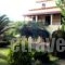 Villa Litsa_accommodation_in_Villa_Ionian Islands_Corfu_Vatos