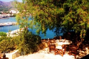 Villa Dimitra_accommodation_in_Villa_Crete_Lasithi_Makrys Gialos