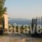 Regina_lowest prices_in_Hotel_Ionian Islands_Kefalonia_Vlachata