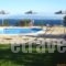 Gerasimoula Studios_best deals_Hotel_Ionian Islands_Kefalonia_Vlachata