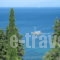 Andromaches Holiday Apartments_travel_packages_in_Ionian Islands_Corfu_Gastouri