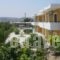 Manolis Studios_best deals_Hotel_Dodekanessos Islands_Kos_Kos Rest Areas