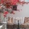 Armonia Pension_best deals_Hotel_Cyclades Islands_Ios_Ios Chora