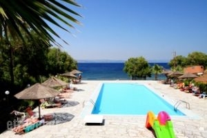 Viva Mare_holidays_in_Hotel_Aegean Islands_Lesvos_Mythimna (Molyvos)