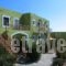 Perla Apartments_best deals_Apartment_Crete_Heraklion_Ammoudara