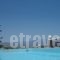 Ostria Apartments_best prices_in_Apartment_Crete_Lasithi_Aghios Nikolaos